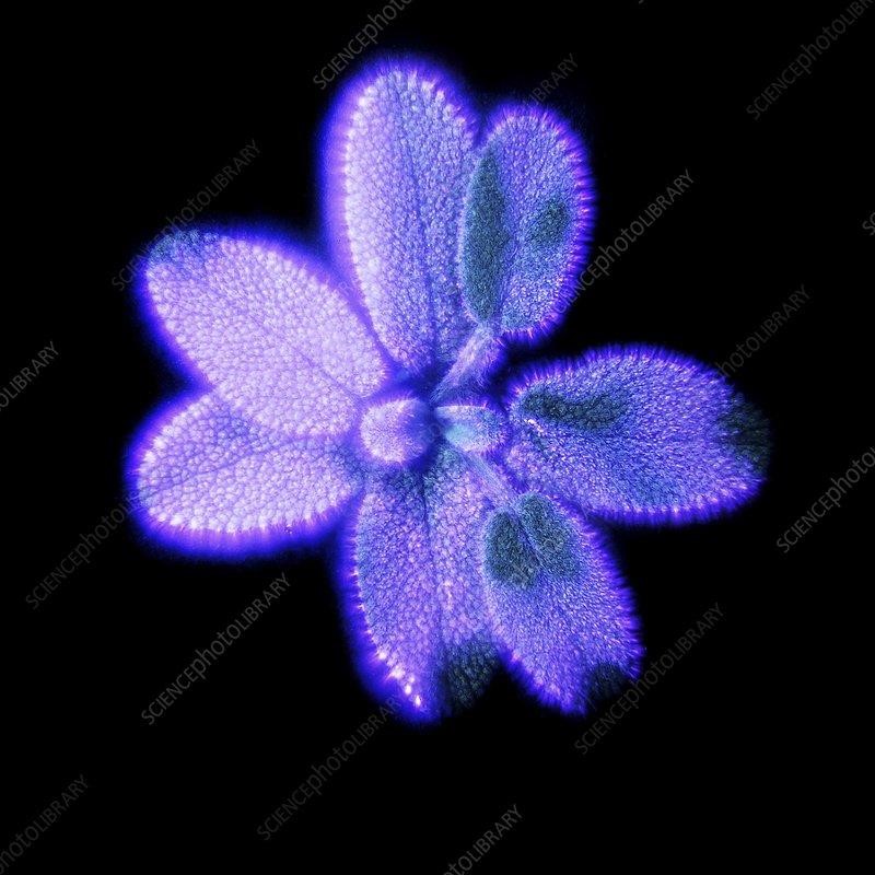 clip_image028.jpg